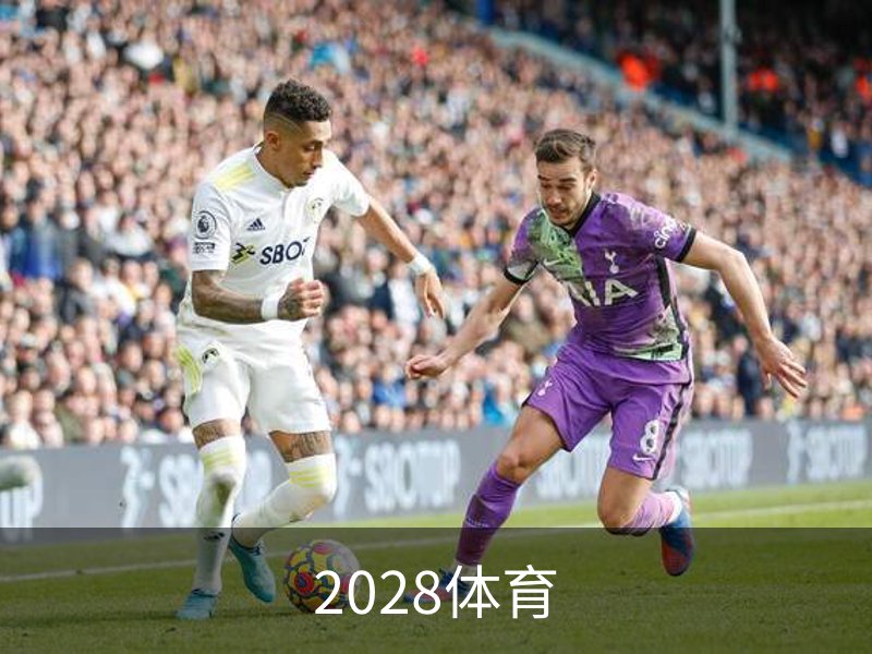 2028体育品牌故事